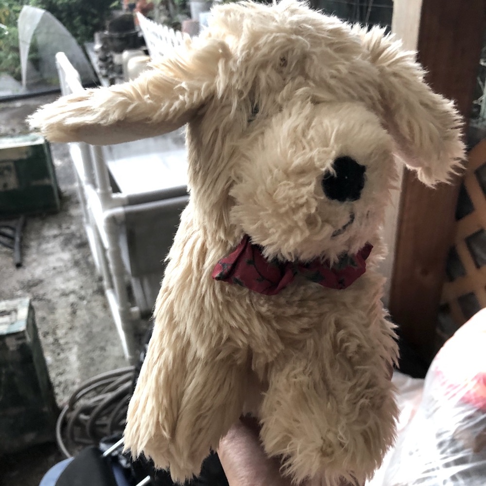 Stuffed Animals